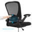 Royola Office Chair