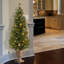The Holiday Aisle® Montclair Spruce Entrance Tree with Clear Lights-983610221