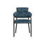 Sharqui Upholstered Arm Chair