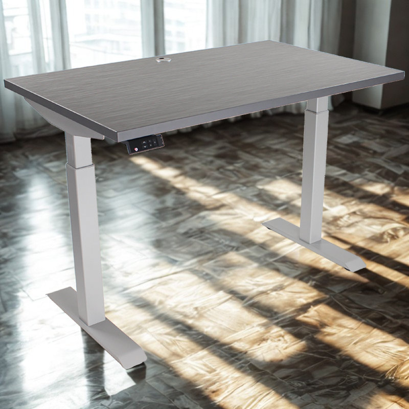 Skyscraper Electric Height Adjustable Standing Desk, Dual Motor and Digital Control with Memory, 48x24, Charcoal Strand Top with Brushed Silver Frame
