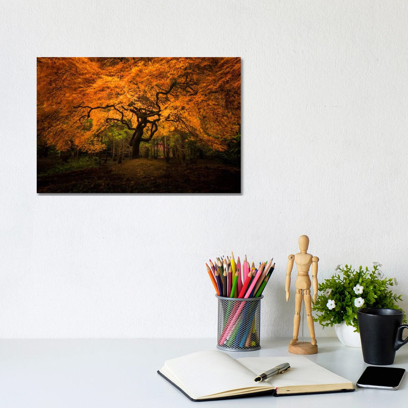 Splendor, Seattle, Washington by Jim Nilsen - Wrapped Canvas Print, 20.32 cm H x 30.48 cm W