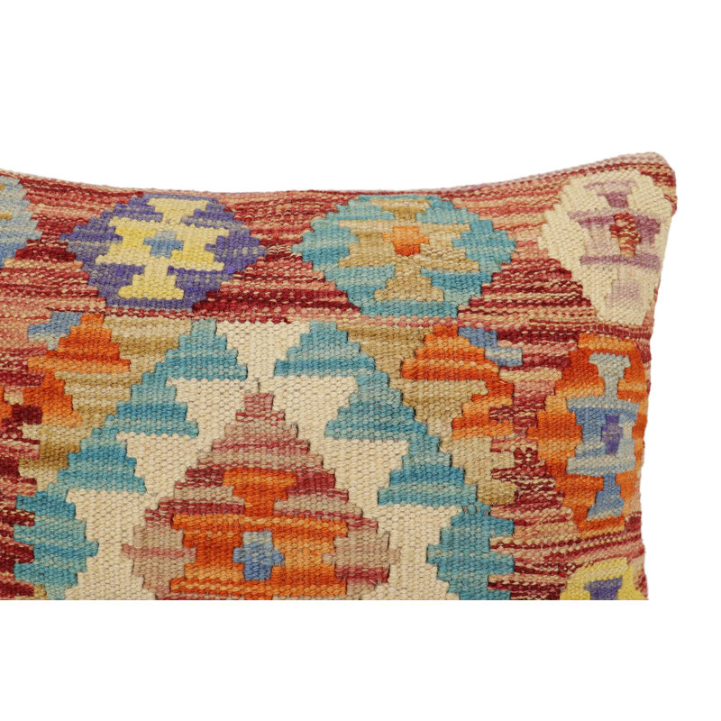 Erika Geometric Throw Pillow