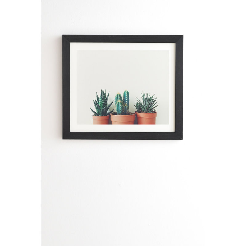 « poted plantes », reproduction de photo, H 8 po x l 10 po x P 2 po, Papier, Blanc