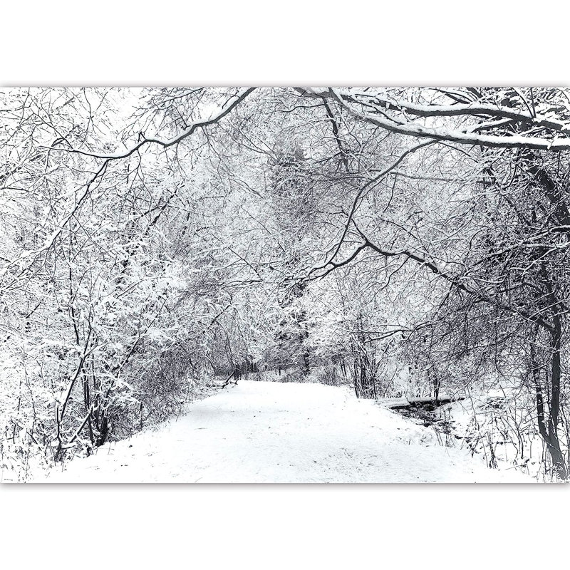Tree Branches Covered Snow Winter, 144" L x 100" W