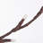 6' Wall Hanging LED Tree