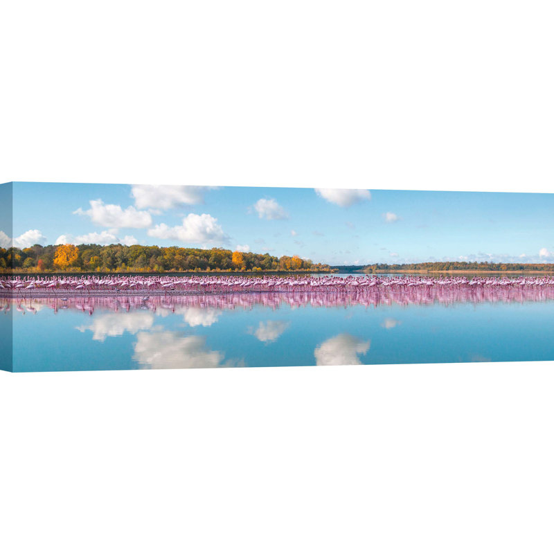Flamingos Reflection, Camargue, France (detail) by Pangea Images - Wrapped Canvas Panoramic Print, 35cm H x 100cm W x 4cm D