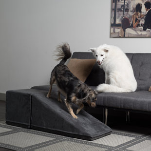 Rampe pour animaux 14 "
