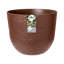 Plant Pot-72816955-72816962