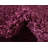 Capwell Performance Indoor Rug-1934614261
