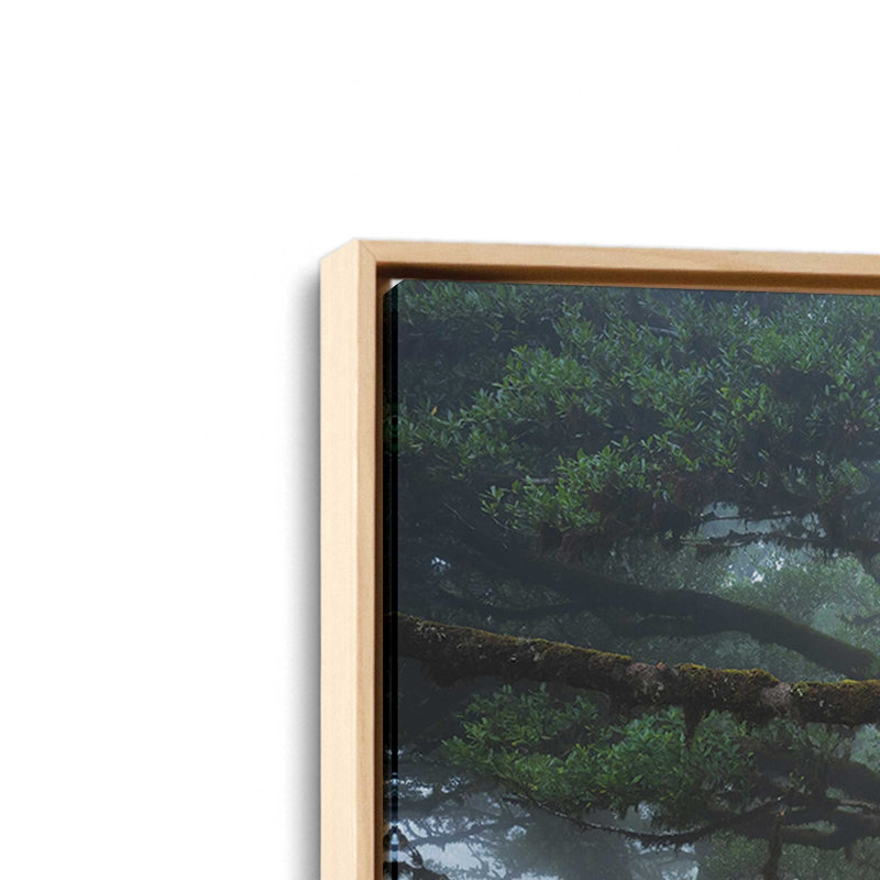 «Embracé par Martin Podt», reproduction d'art, Toile avec cadre, Tanné, L 18 po x H 12 po