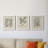 " Antique Black And White Botanical VII " 3 - Pieces-408395201-408395214