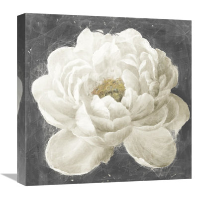" Vivid Floral I White Flower "