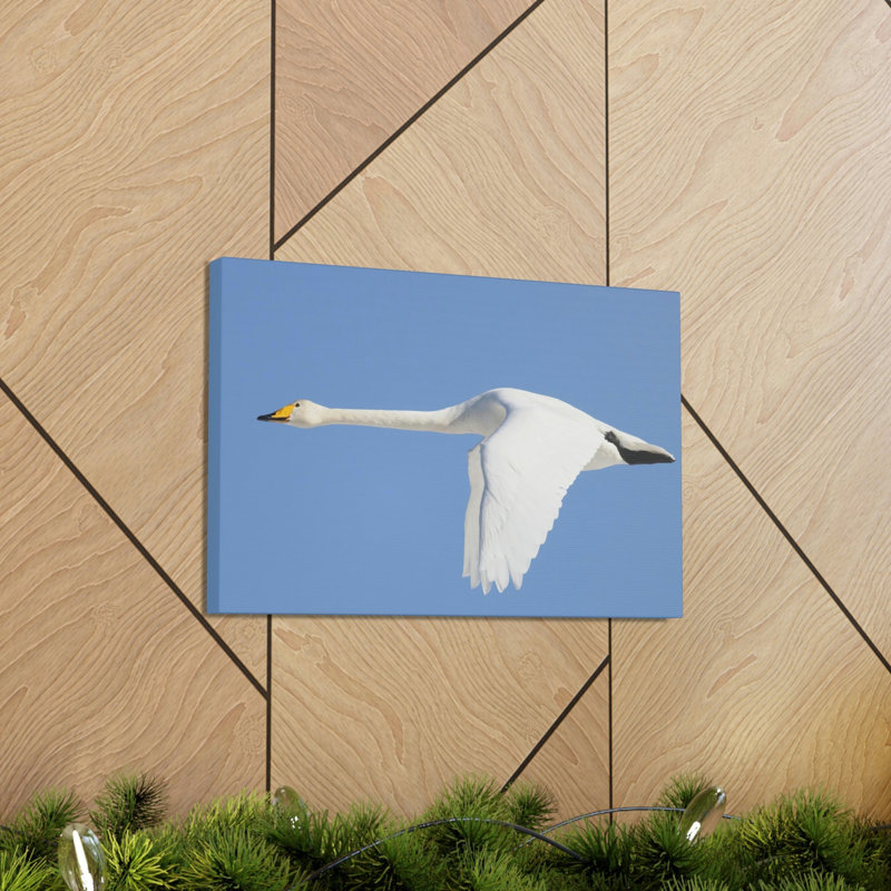 No Frame Print on Canvas, 12cm H x 18cm W