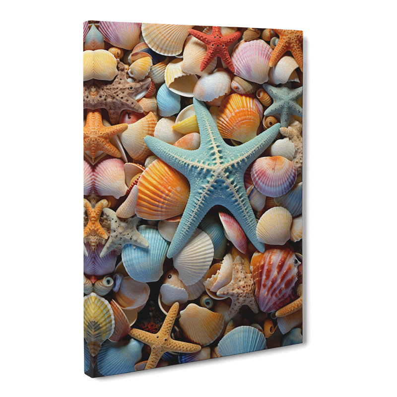 Seashell Abstract Art - Wrapped Canvas, 50cm H x 35cm W x 3cm D