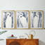 ANIMALS Series CECLxxIV - Impression encadrée sur mesure de qualité supérieure - 3 pièces-1414837586-1414837598