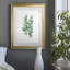 Eucalyptus II - Peinture sur toile encadrée-15832694-15832688