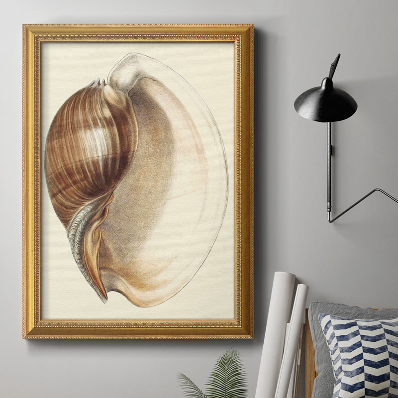 Imprimé Splendid Shells III, L 24 po x H 36 po