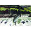 Salmon Run 1 Piece Wrapped Canvas Painting-17843462