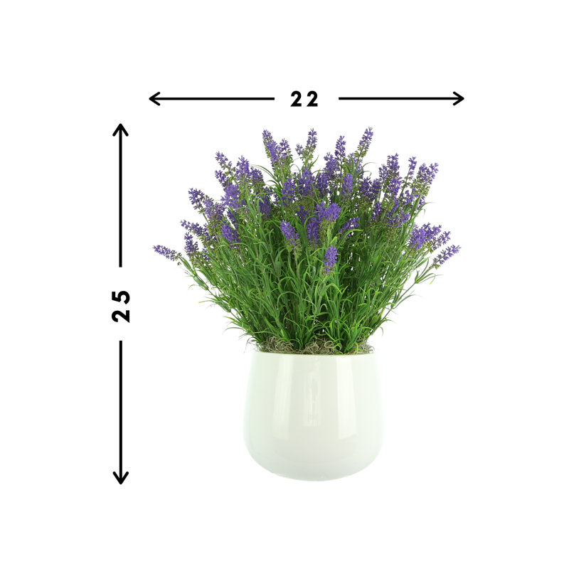 Outdoor UV-Rated Lavender in Fiberstone Pot