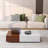 Modern coffee table with two storage spaces