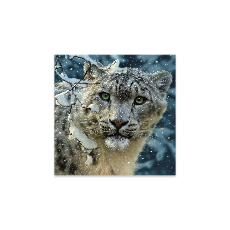 Snow leopard, carré, Pas de tapis, Unframed, H 24 po x l 24 po x P 0,25 po