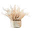 Whispy Pampas in Marble Pot