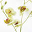 Plastic, Silk Artificial Arrangement-89222306
