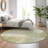 Premium Machine Washable Prisco Sage Rug-1879561834