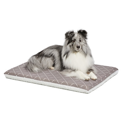 Lit pour animaux Paxton