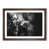 Walnut Framed selected