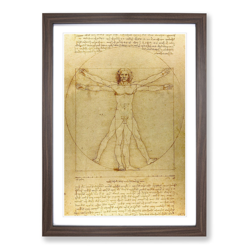 Vitruvian Man Vol.1 by Leonardo Da Vinci - Framed Print, Walnut, 65cm H x 48cm W x 2cm D