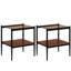 2 tables d'appoint rectangulaires en verre trempé - brun, pour intérieur, 48,5 cm x 40 cm x 53,7 cm, capacité de charge de 50 kg, 2 pièces, plateau moderne pour salon, 40 cm l x 48,5 cm l x 53,7 cm h, 50 kg