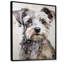 Yorkshire Terrier, portrait curieux-1169797446-1169797448