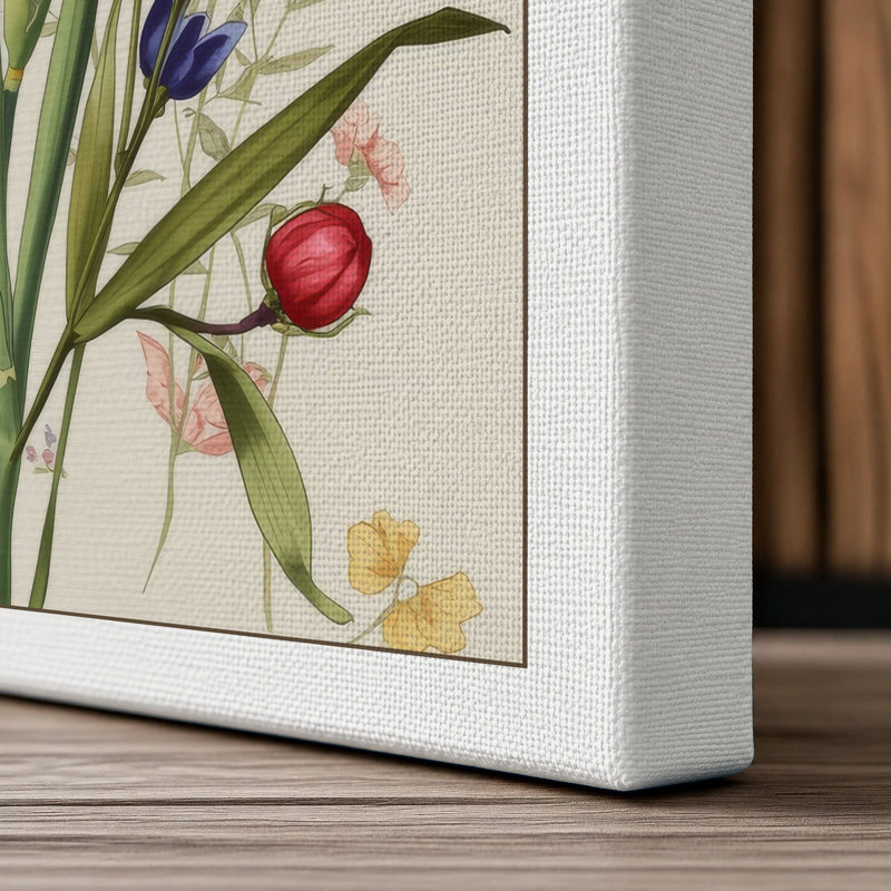 Iris and Specimen Botanical - Wrapped Canvas, 30x20 - 76.2 x 50.8 cm, White Border