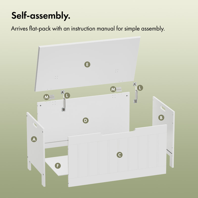 Accent Trunk