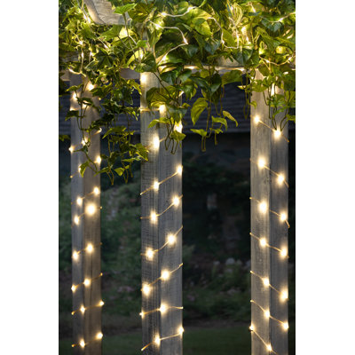 30-Foot Connectable Warm White Micro LED Light String – 100 Fairy Lights on Silver Wire with Outdoor UL Adapter and 9-Foot Lead