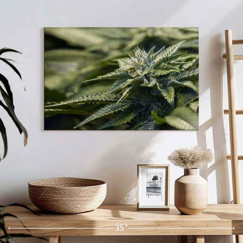 Crystallized Marijuana Plant, 24" H x 36" W