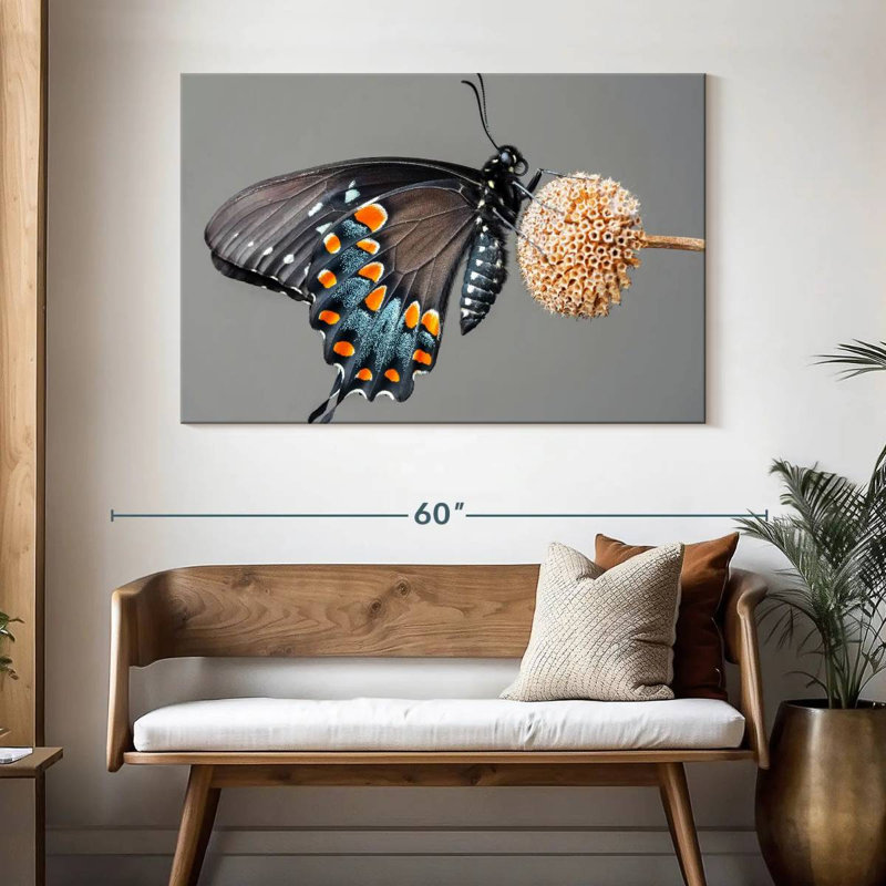 Papillon machaon noir Brampt, H 32 po x l 48 po