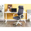 Ashil Office Chair-608715511