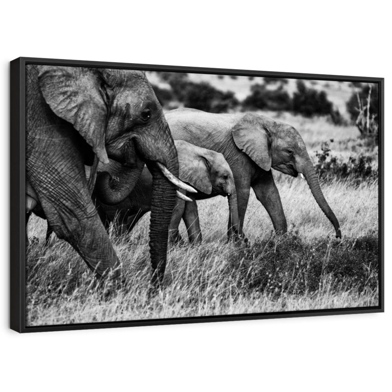 Animal "Famille d'éléphants I", art mural, H 27 po x l 40 po