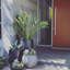 Pot de fleurs Dorlis Fiberstone-686110825-795267174