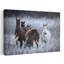 Art sauvage, chevaux sauvages, hiver, champ paisible, serein, cheval