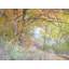 Quiet Autumn Portrait, Zion National Park Print by Bruce Heinemann-65780853-65780854