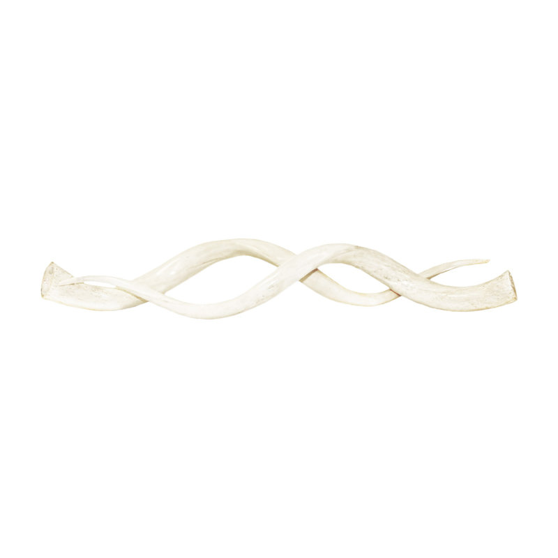 Polished White Kudu Horn Inner Pair, 22"