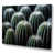 Wrapped Canvas
