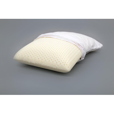Caballero Talalay latex Plush Support Pillow