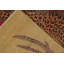 Pasha Wool Area Rug