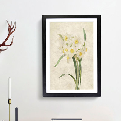 White Daffodils by Pierre-Joseph Redoute - Framed Print