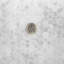 Carrara 2" Hexagon Marble Mosaic Tile
