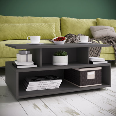 Roin Coffee Table with Storage